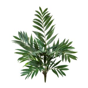 Parlour palm bush 75 cm